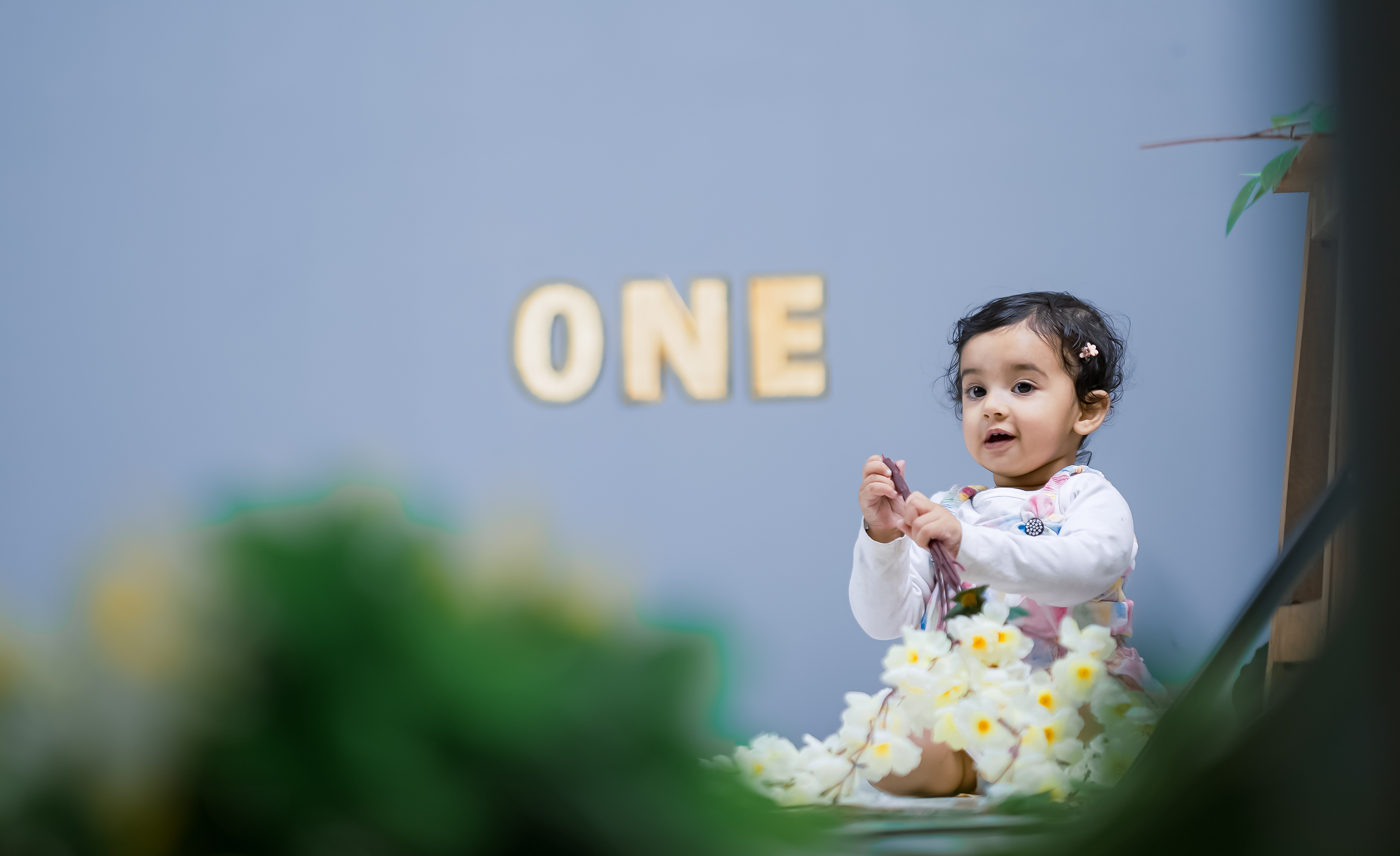 Birthday Milestone Session